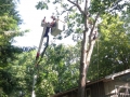 IMG_0082