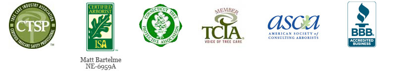 Professional memberships for barts tree service