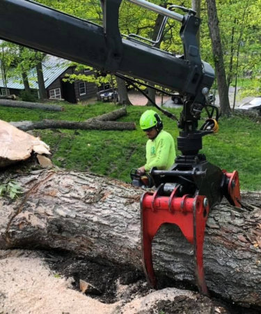 A red, mechanical grapple tool attached to a knuckle boom holds a large section of tree horizontally on the ground, and a crew member uses a chainsaw to buck the removed tree as a brown cabin - style house sits in the background.