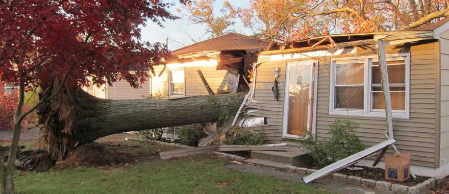 Emergency Tree Services from Barts Tree Service in Danbury CT
