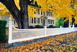 fall tree care tips Connecticut