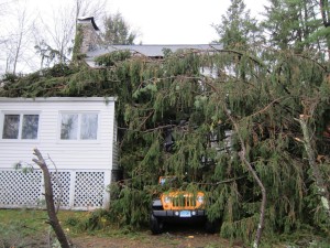 Tree fallen on house and car