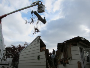 removing tree fallen through roof of house