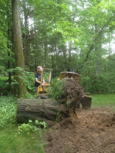 Barts Tree Service stump grinder in action