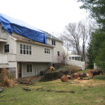 damaged house from falling tree