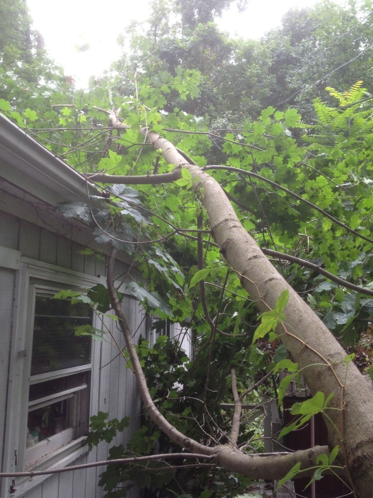 Cleaning Up Storm Damage After Thunderstorms - Barts Tree Service