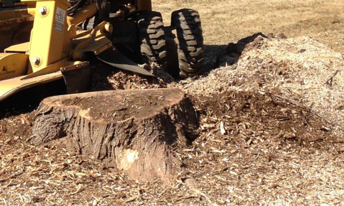 Tree Stump Removal - Dallas Stump Grinding Service - Stump Grinding Company