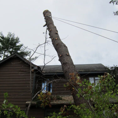 A large, limbless section of an approximately 40-foot tree leans at a thirty-degree angle as it’s pulled with ropes from the brown two-story home it’s fallen on.