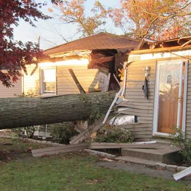 Emergency tree services from barts tree service in danbury ct