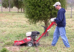 Example of small rental stump grinder